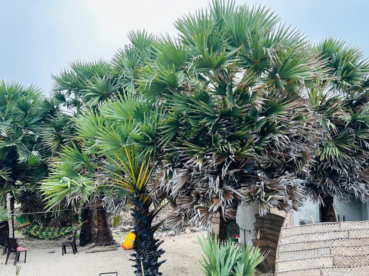 Delft Jeyam Resorts Delft East Ngoại thất bức ảnh
